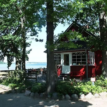 With Fenced Garden
